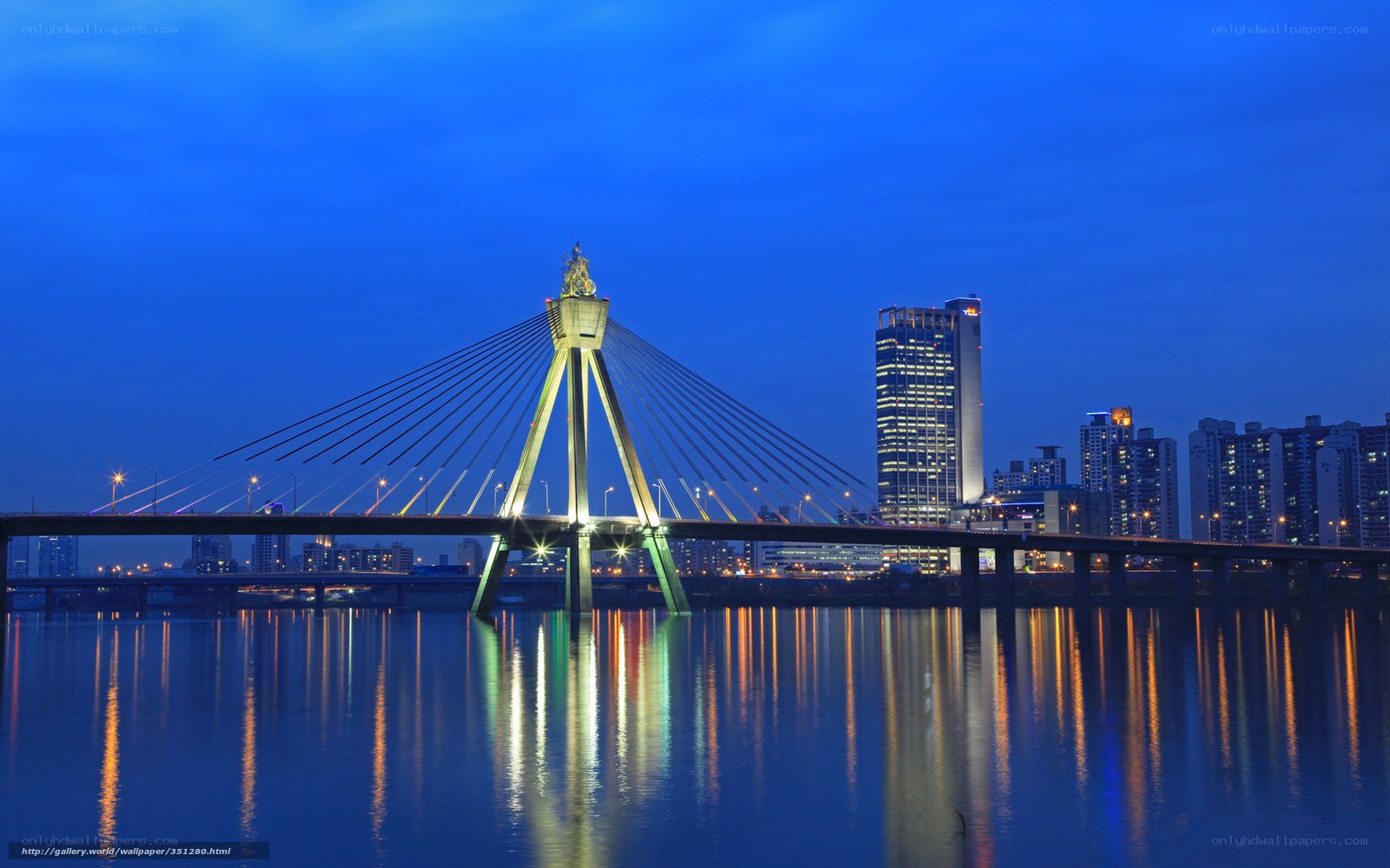 Night view of a cable-stayed bridge