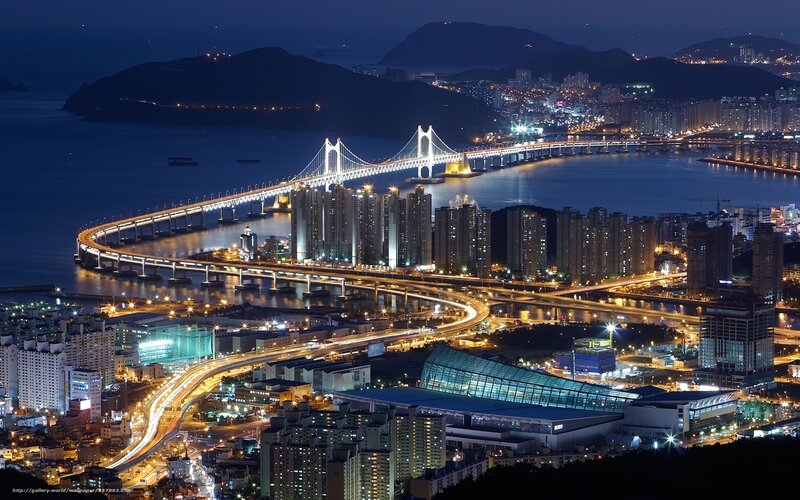 Night view of a city with bridges