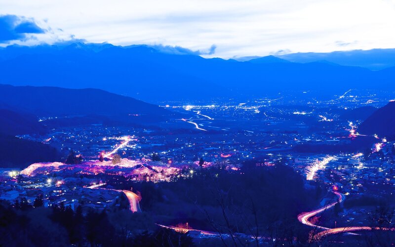 Night view of a city with cherry blossoms