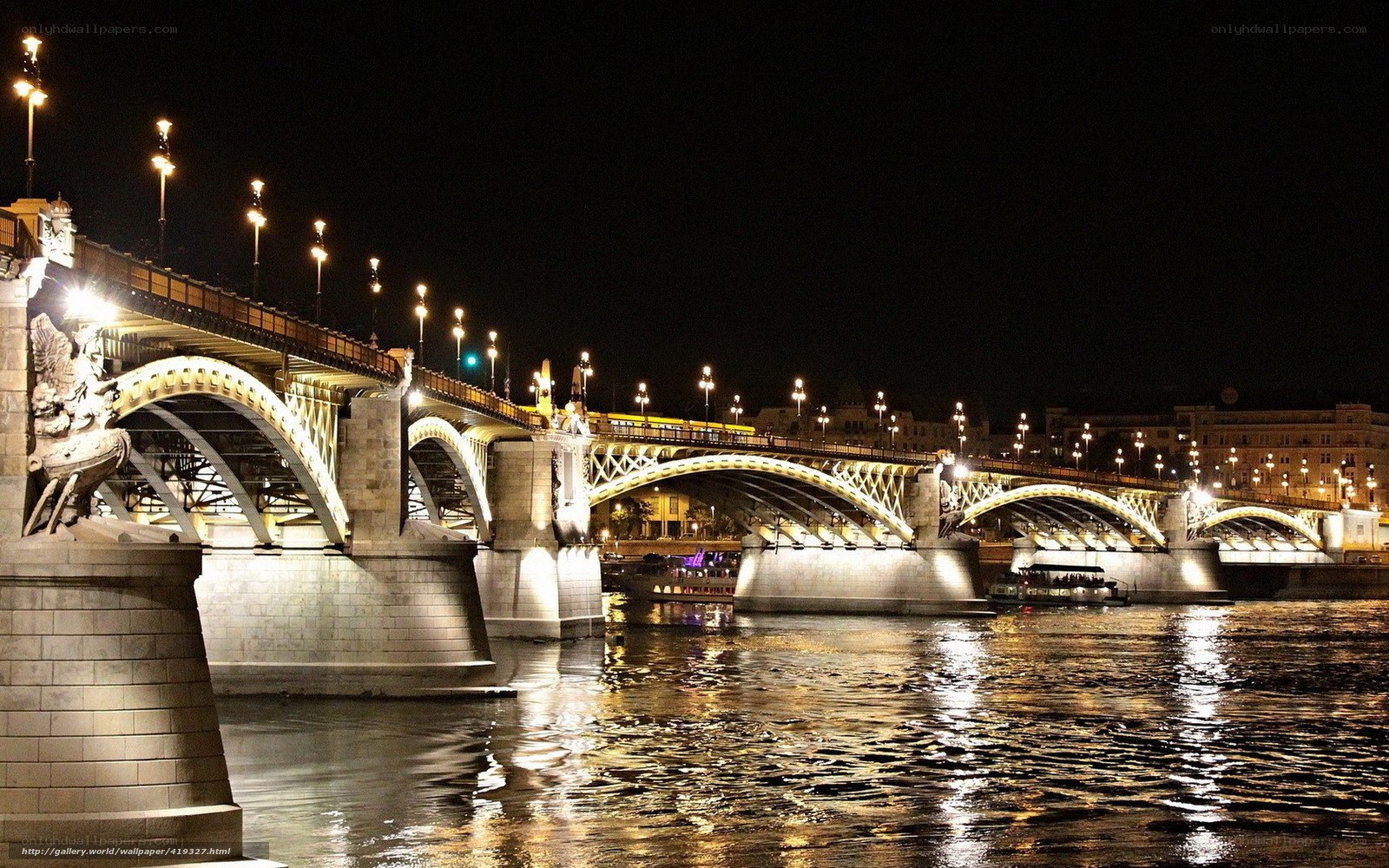 Night view of a lit bridge