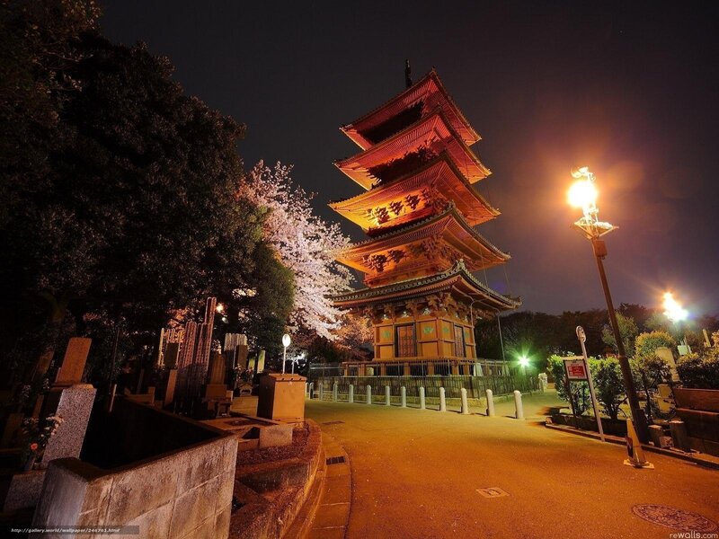 Night view of a pagoda