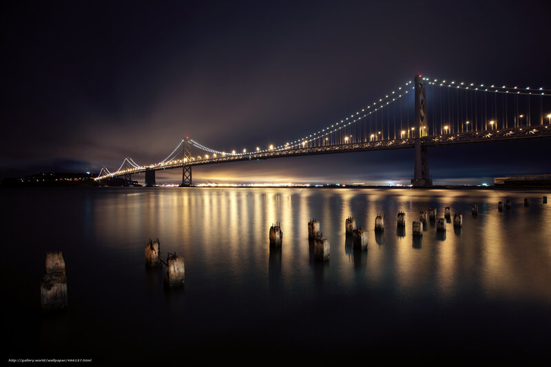 Night view of a suspension bridge