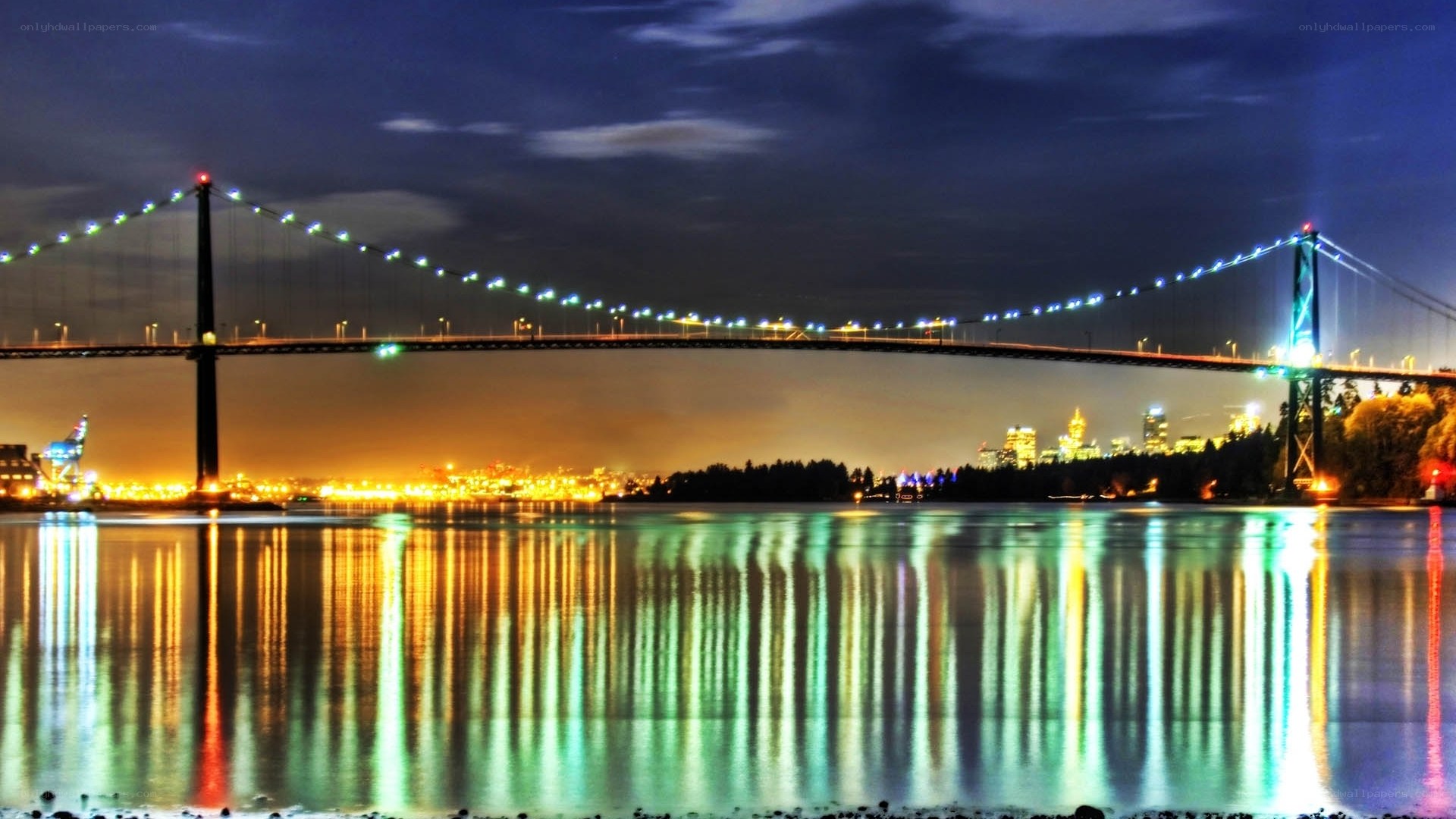Night view of a suspension bridge