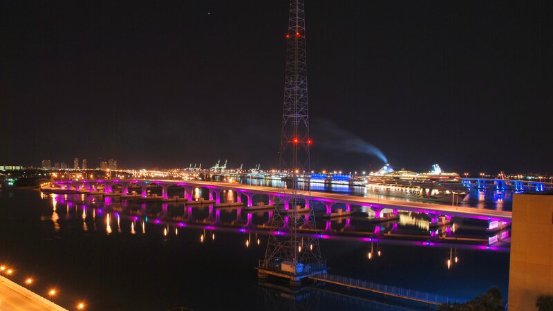 Night view of bridge and cruise ship