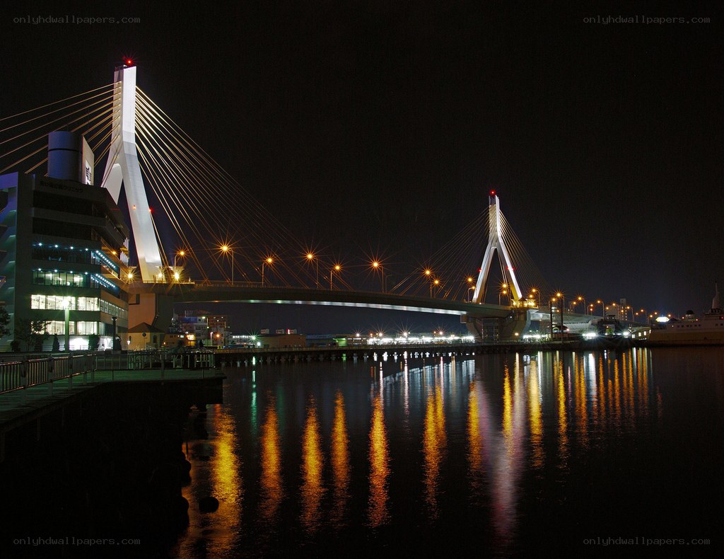 night view of cable-stayed bridge