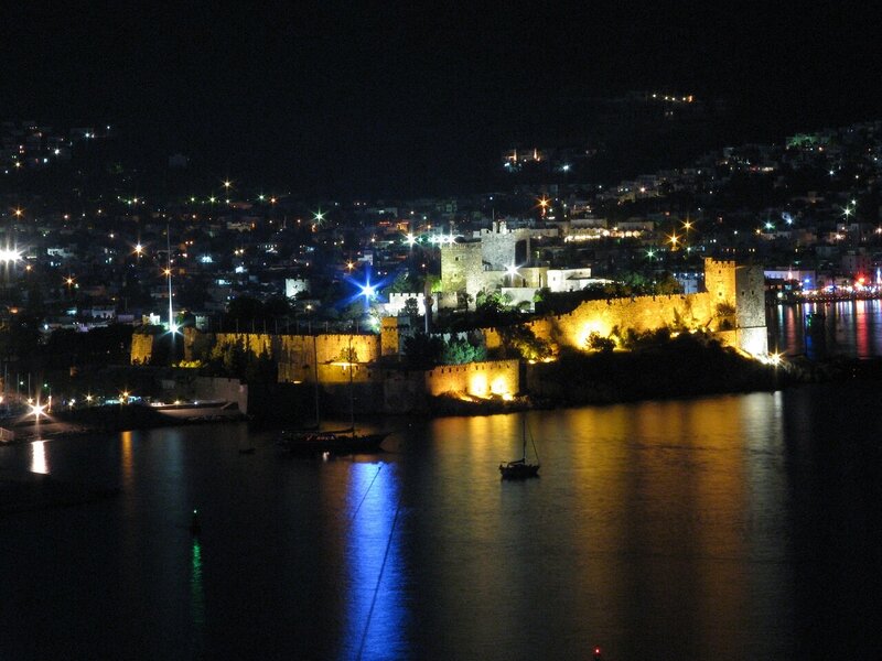 night view of castle by water