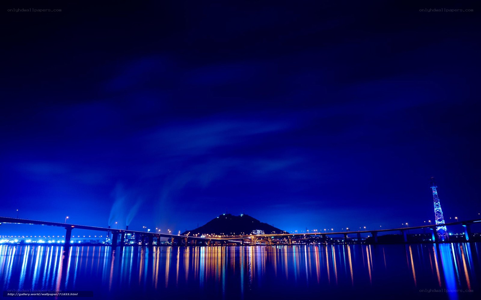Night view of city bridge