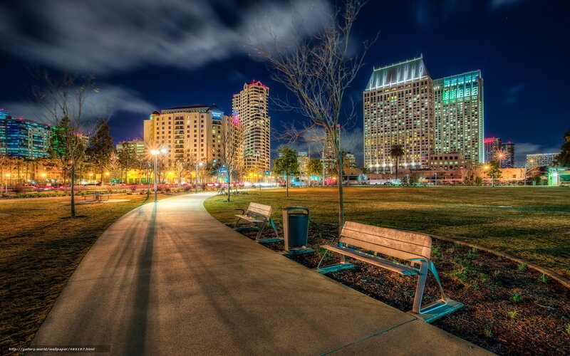 Night view of city park