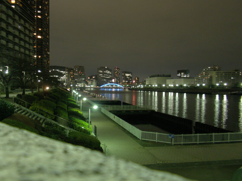 night view of city river