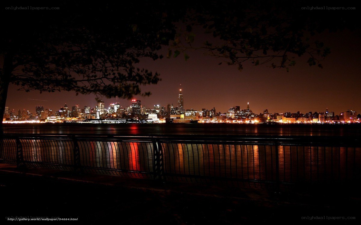 Night view of city skyline