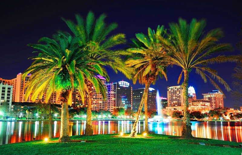 Night view of city skyline
