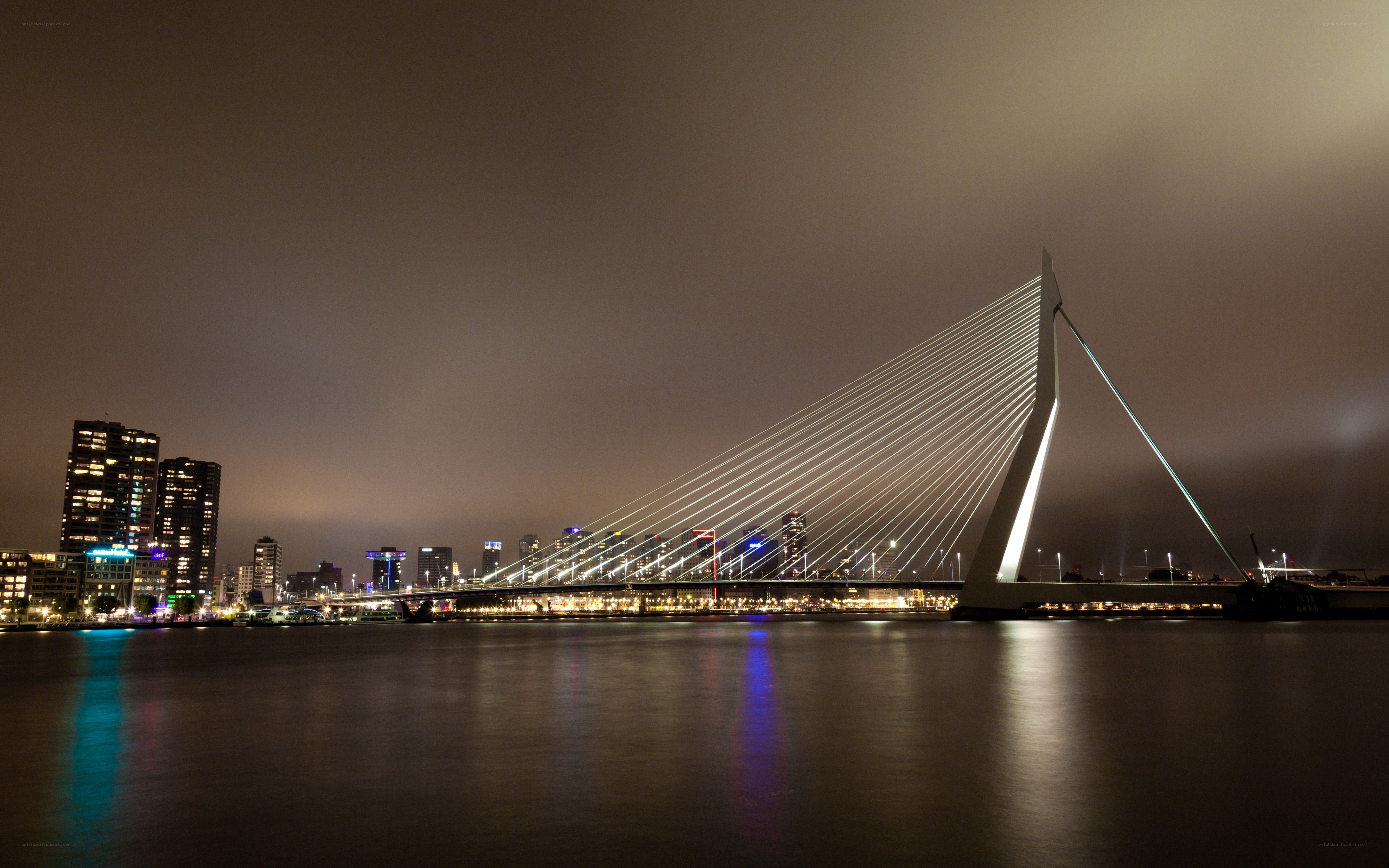 Night view of Erasmus Bridge