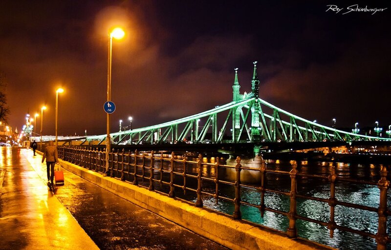 Night view of Liberty Bridge