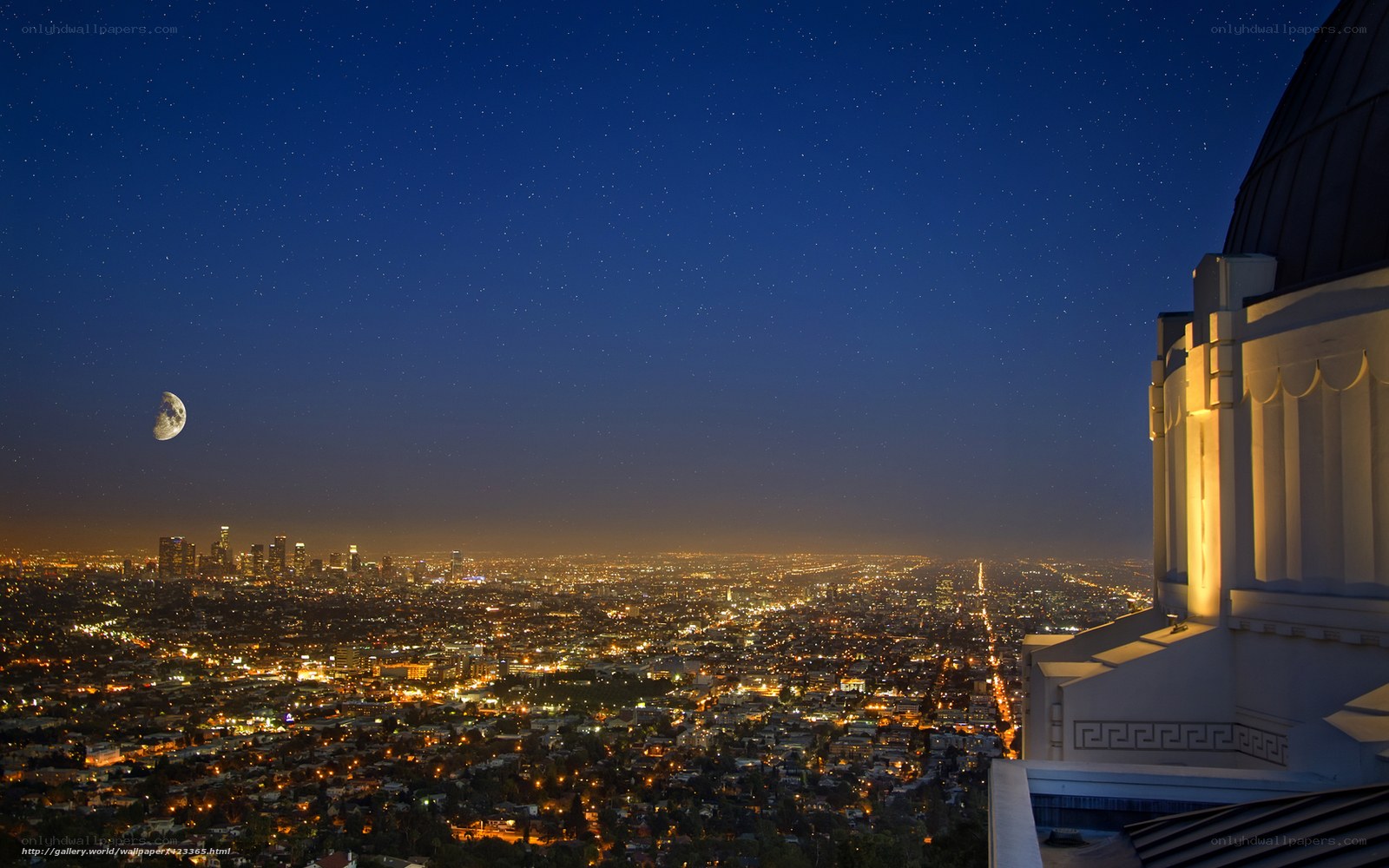 Night view of Los Angeles cityscape