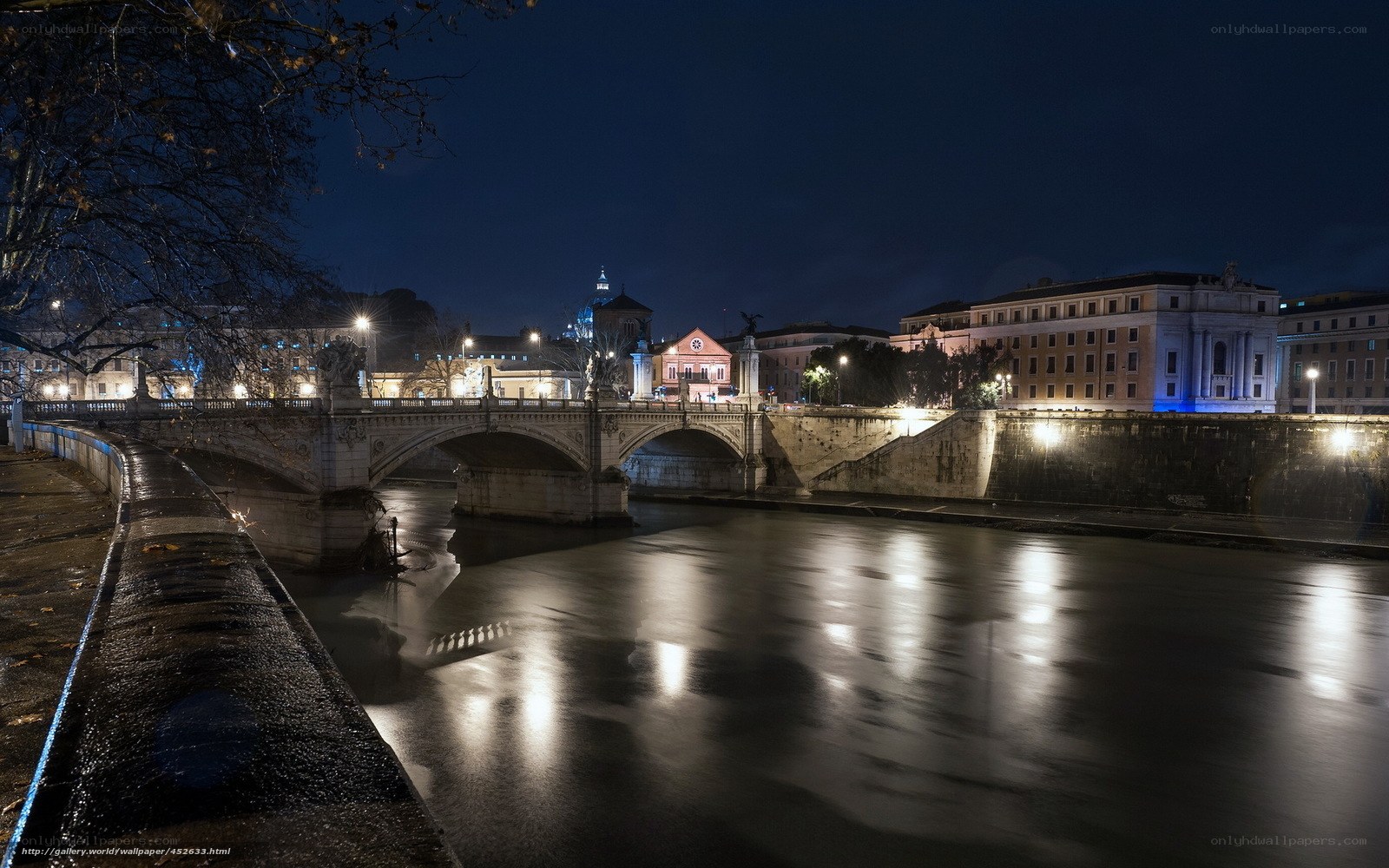 Night view of Rome's river