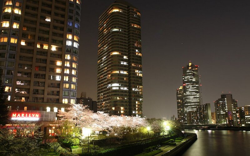 Night view of Tokyo skyline