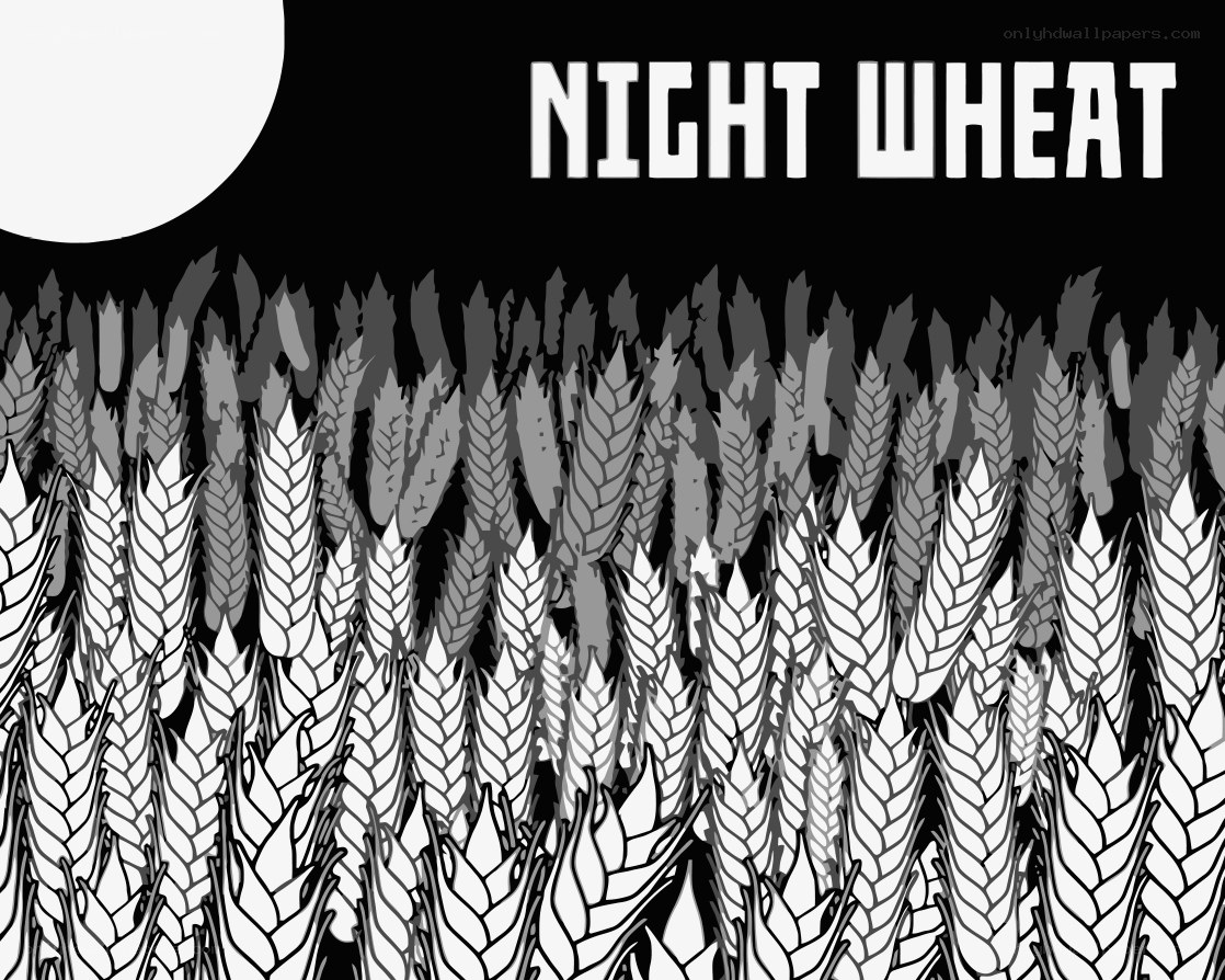 Night Wheat Field