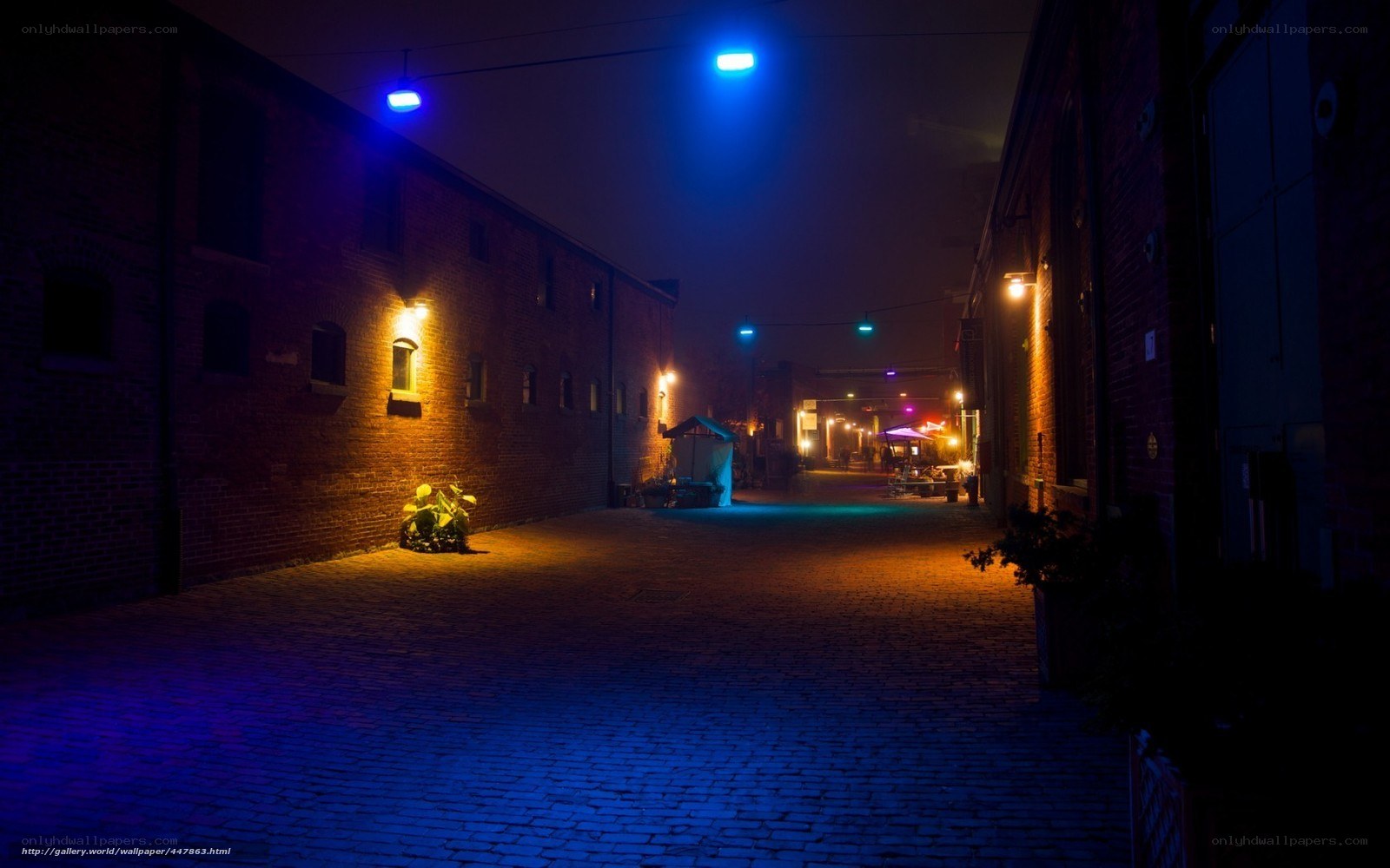 nighttime alley with blue lights