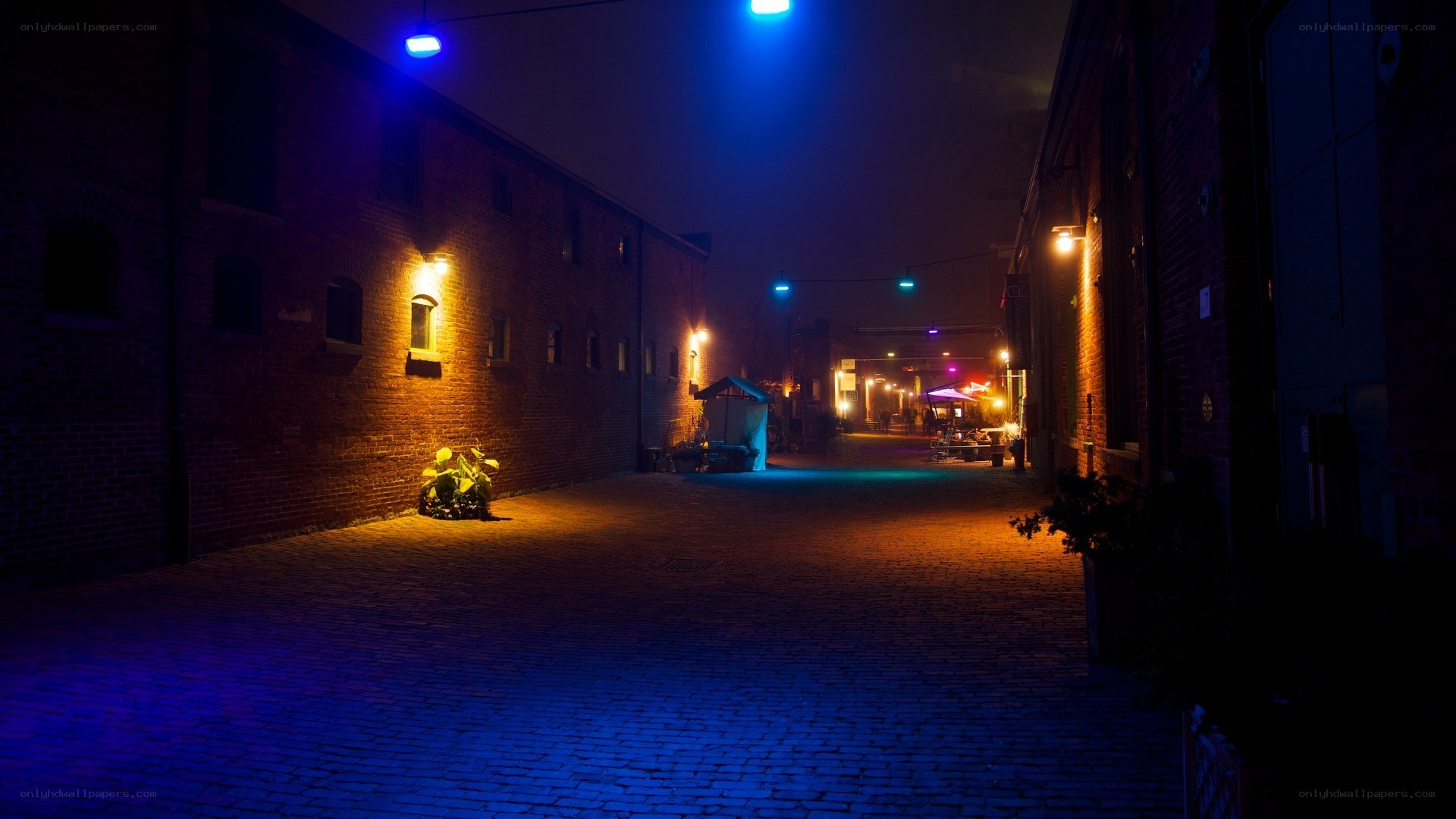 nighttime alley with colored lights