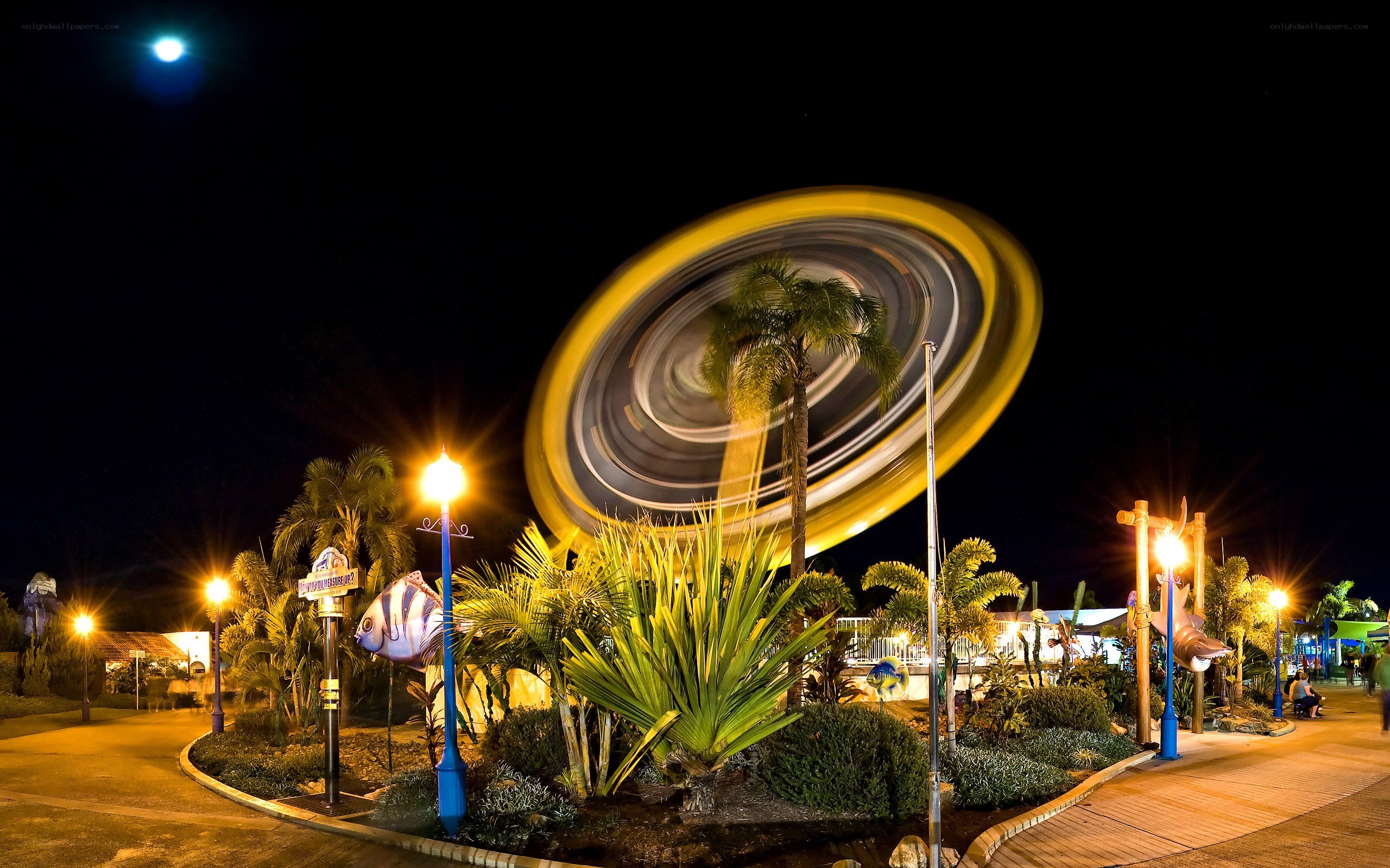 Nighttime amusement park ride