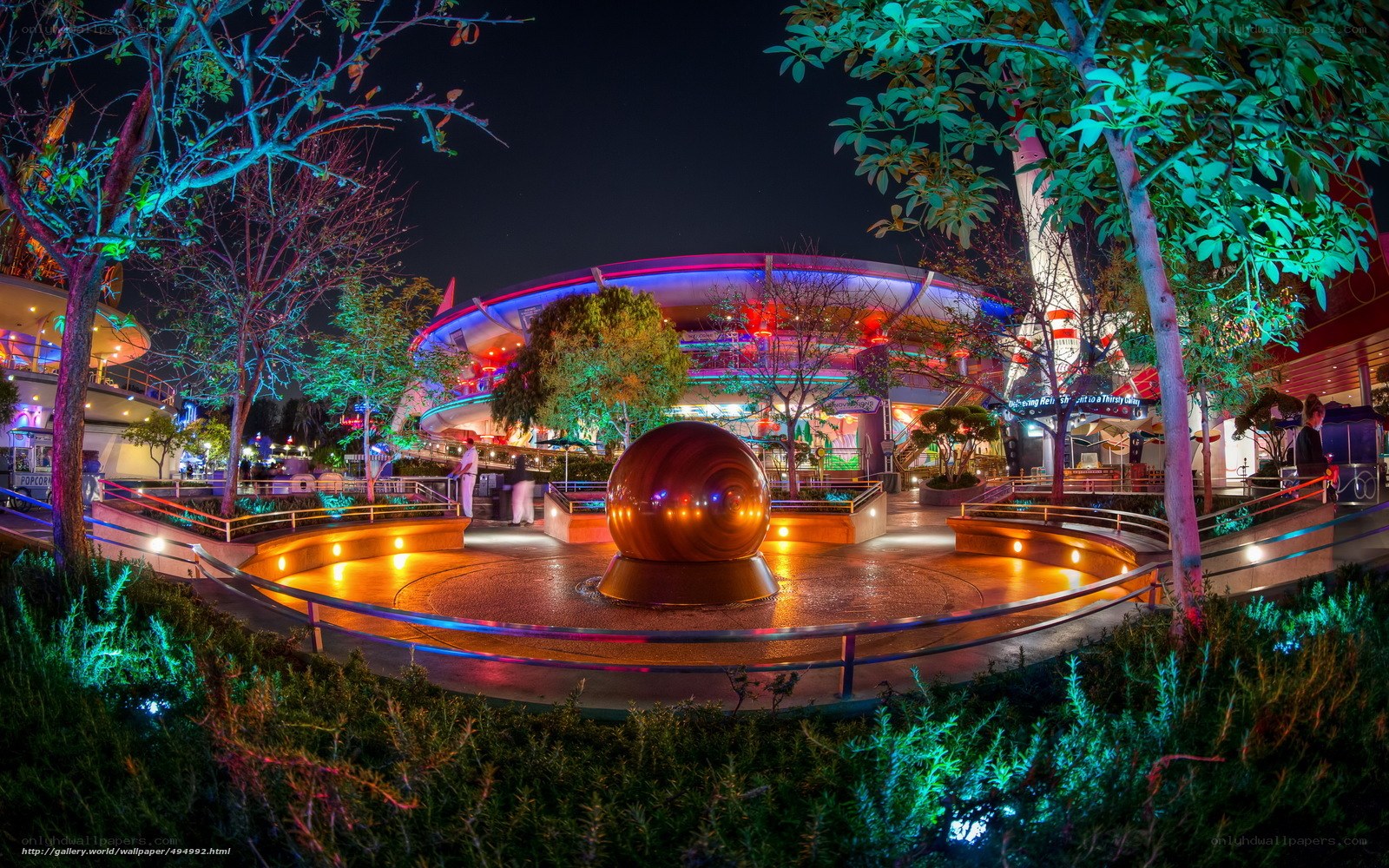 nighttime at disneyland