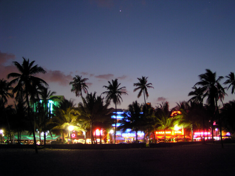 nighttime beach scene with palm trees