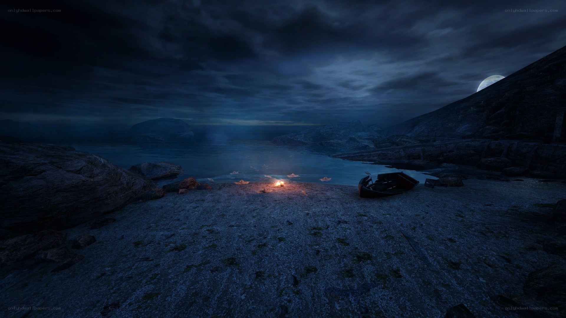 nighttime beach with campfire