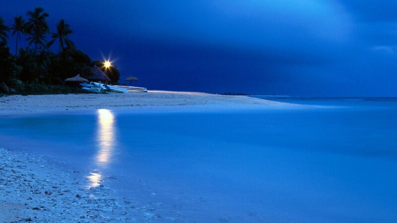 nighttime beach with moonlight