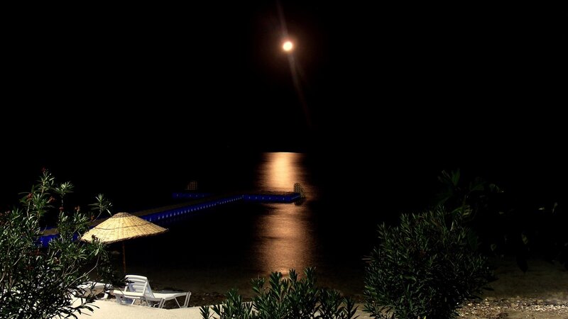 Nighttime beach with moonlight