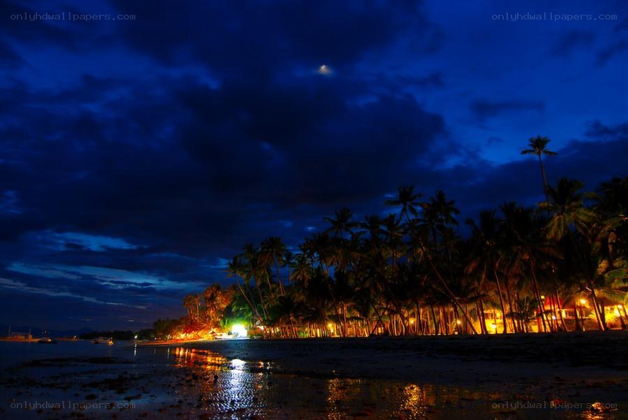nighttime beach with palm trees