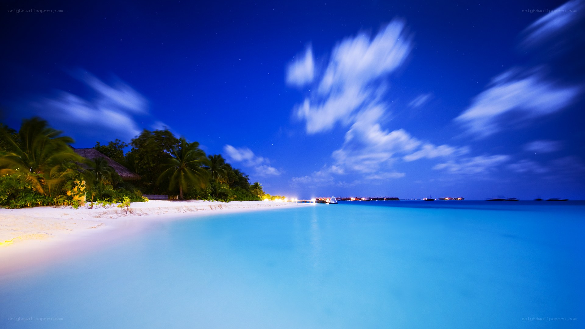 nighttime beach with starry sky