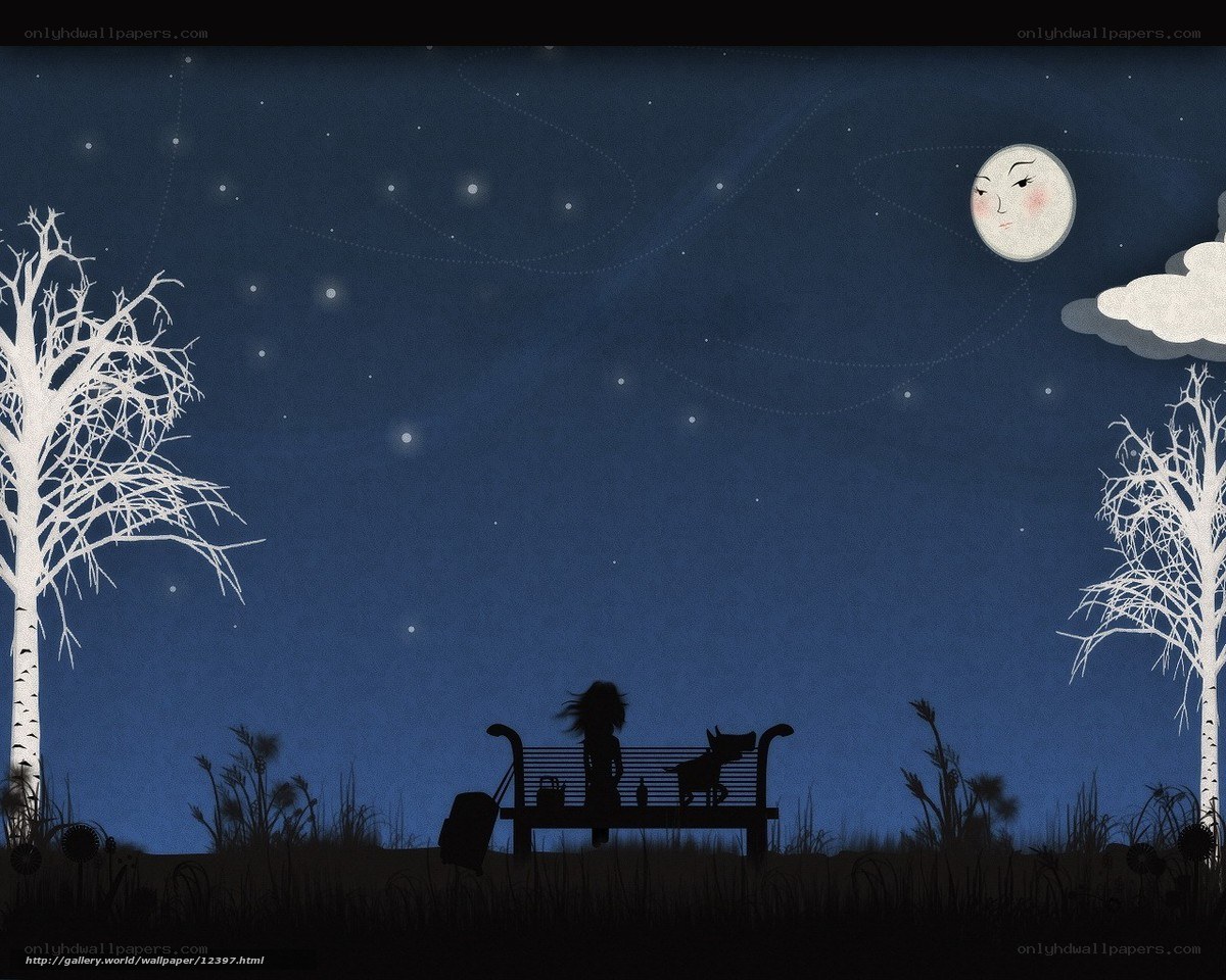 Nighttime bench scene