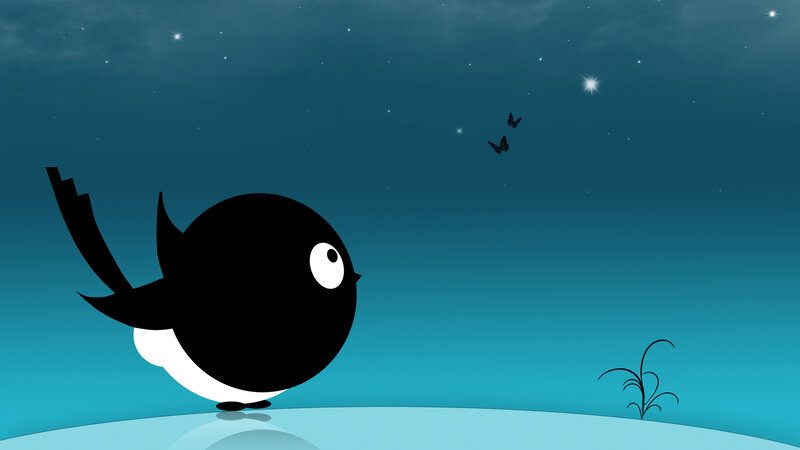 nighttime bird silhouette