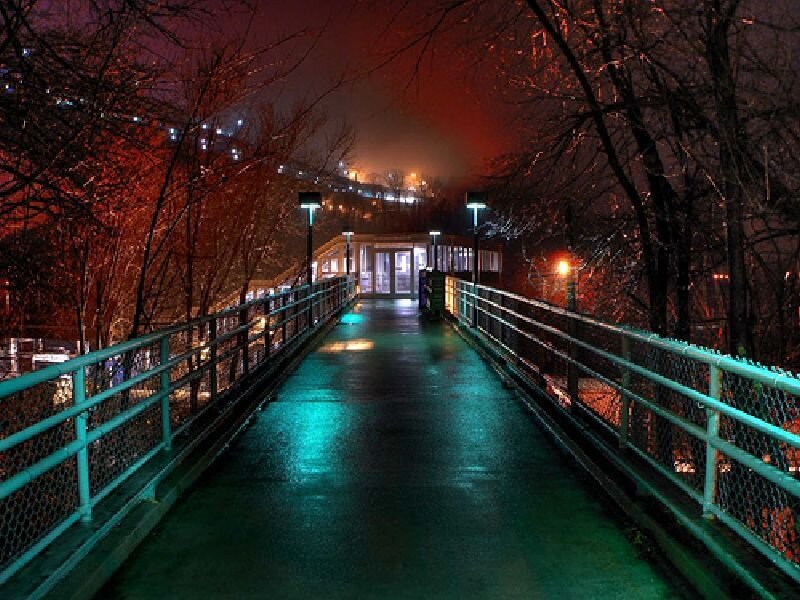 nighttime bridge with colorful lights