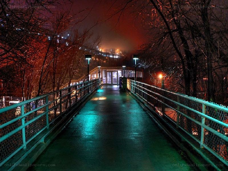 nighttime bridge with colorful lights