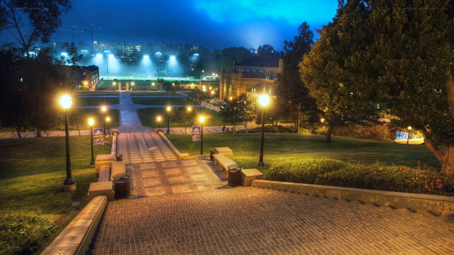 Nighttime campus view