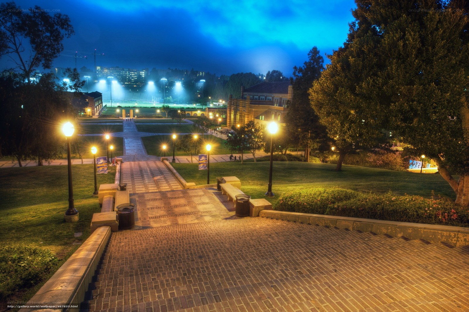 Nighttime campus view