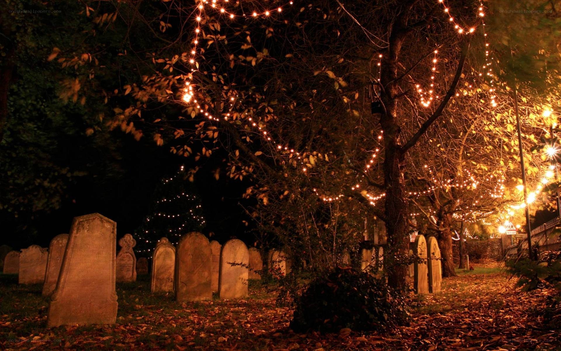 nighttime cemetery with lights