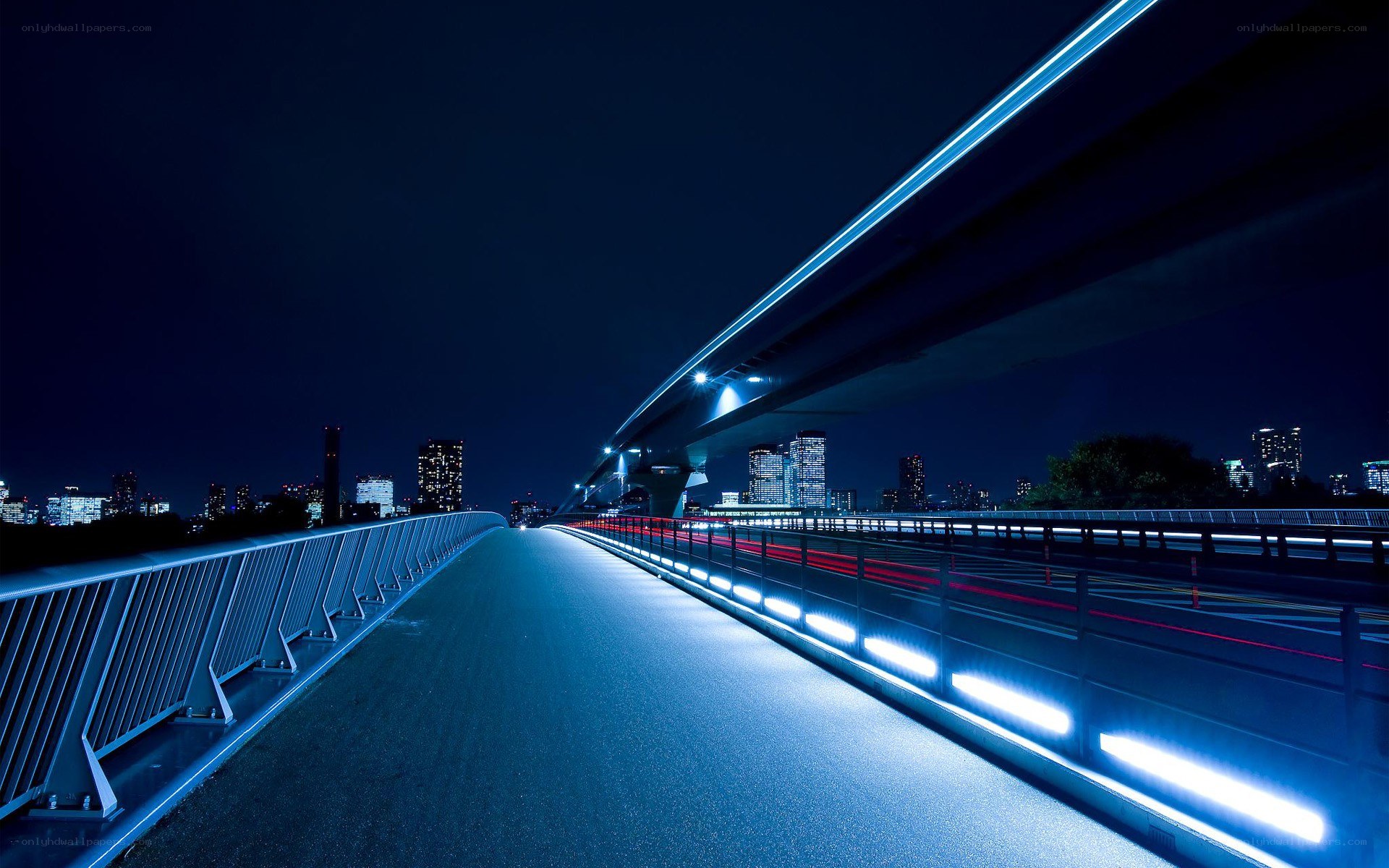 Nighttime city bridge scene