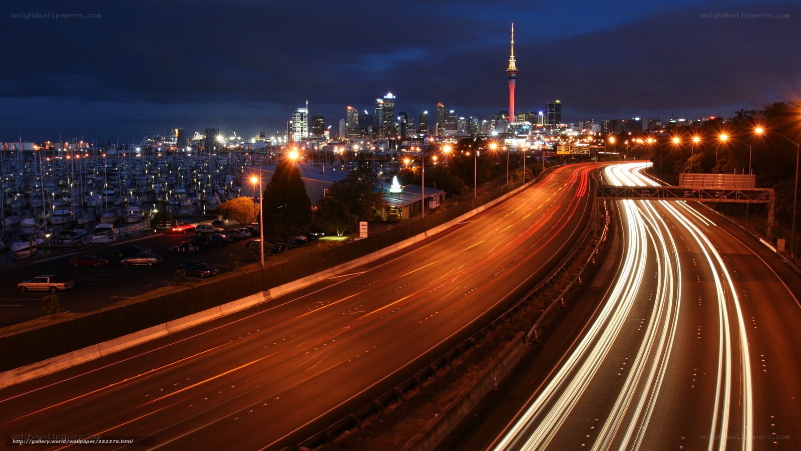 Nighttime city highway with skyline
