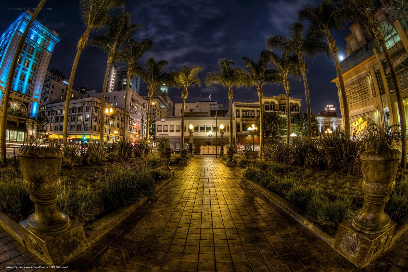 Nighttime city park pathway