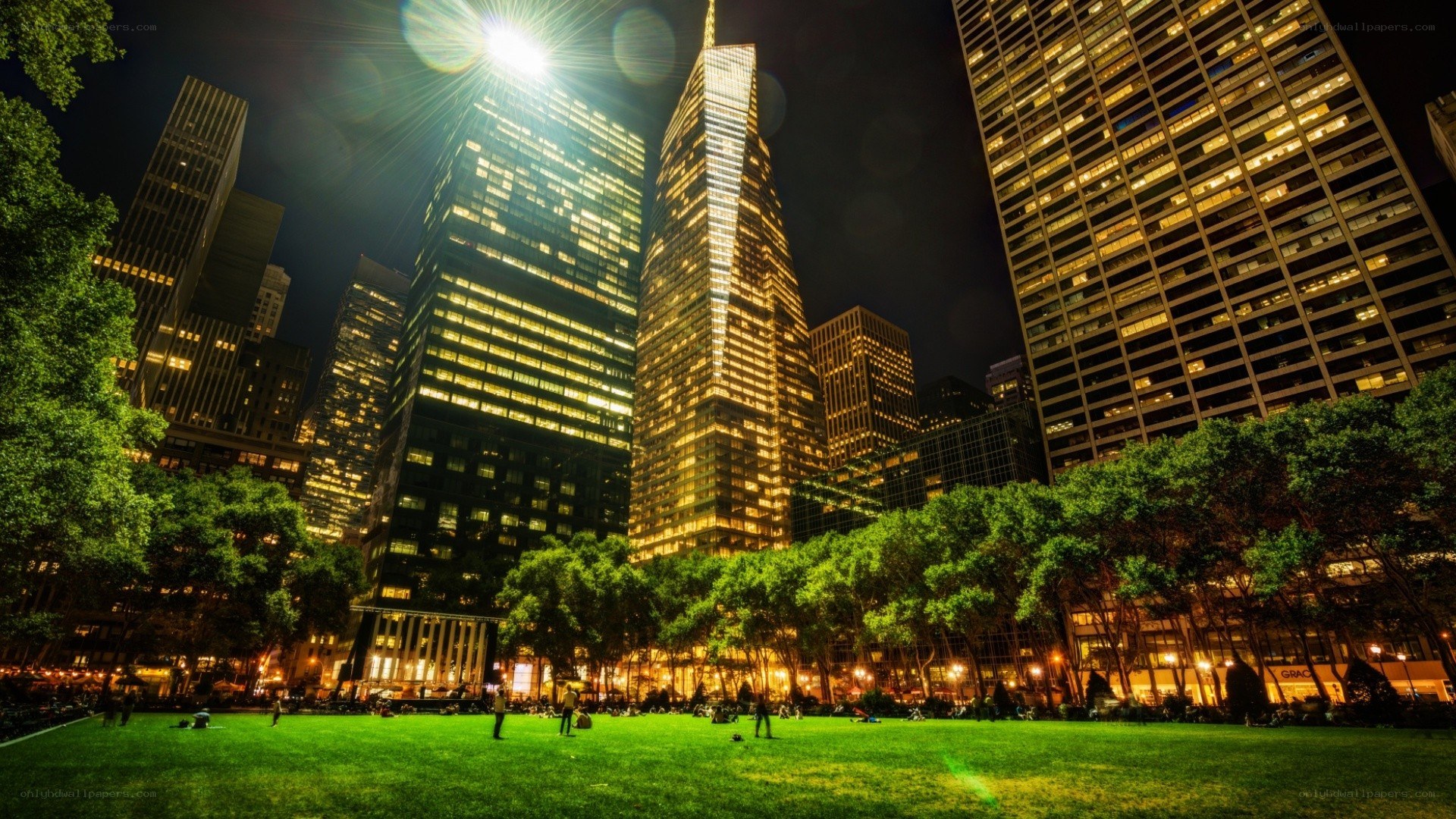nighttime city park scene