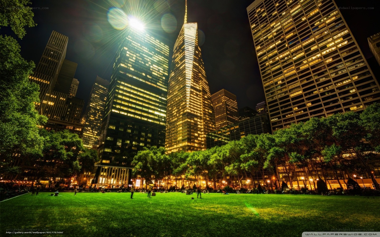 nighttime city park scene