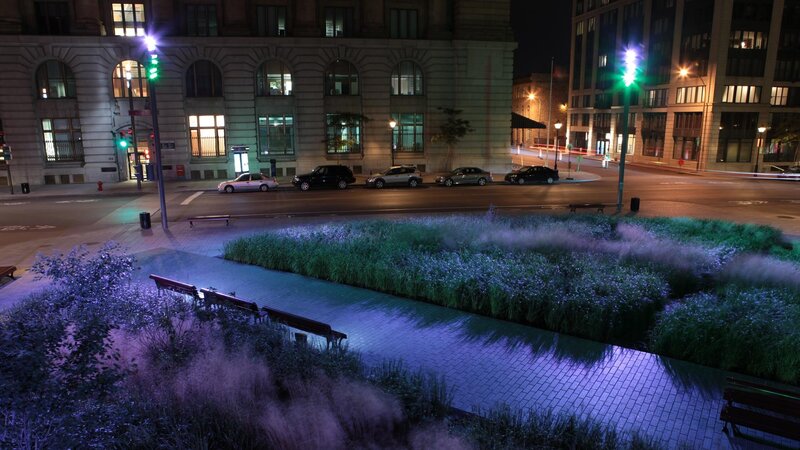 Nighttime City Park