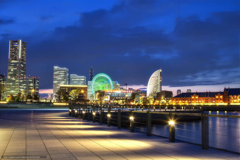 Nighttime City Skyline — Blue, Serene, Night, Photograph, Skyscrapers