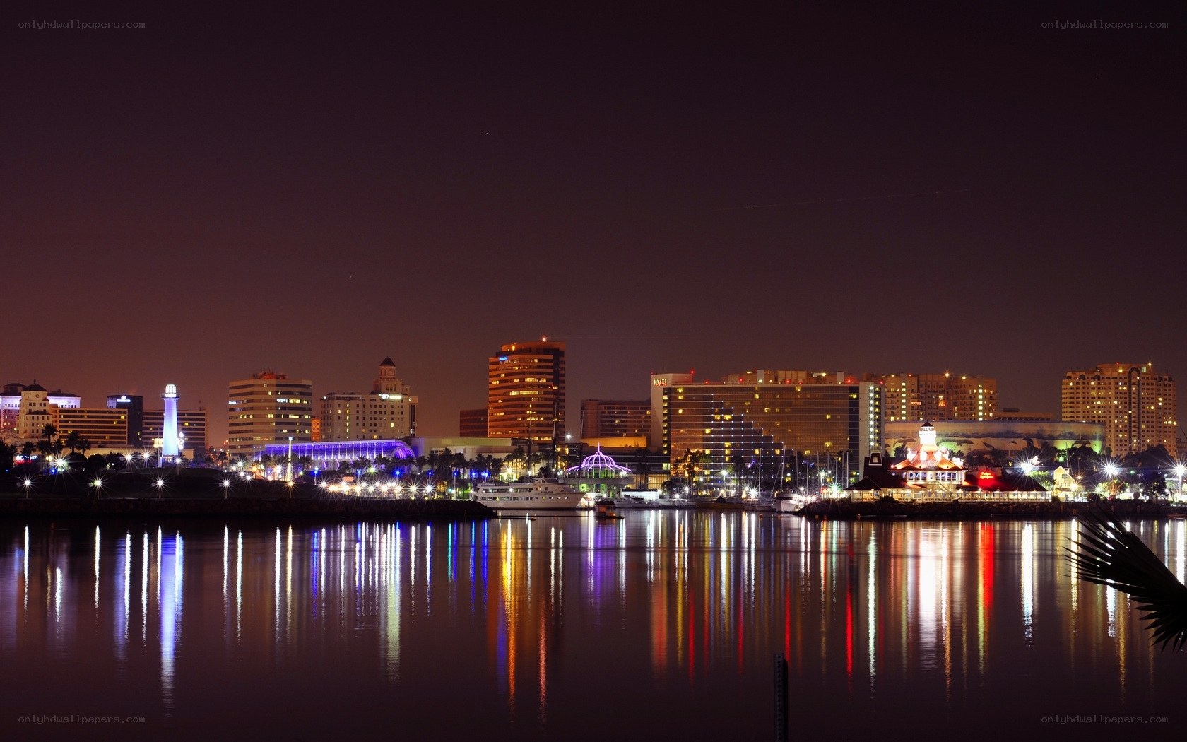 Nighttime city skyline by the water