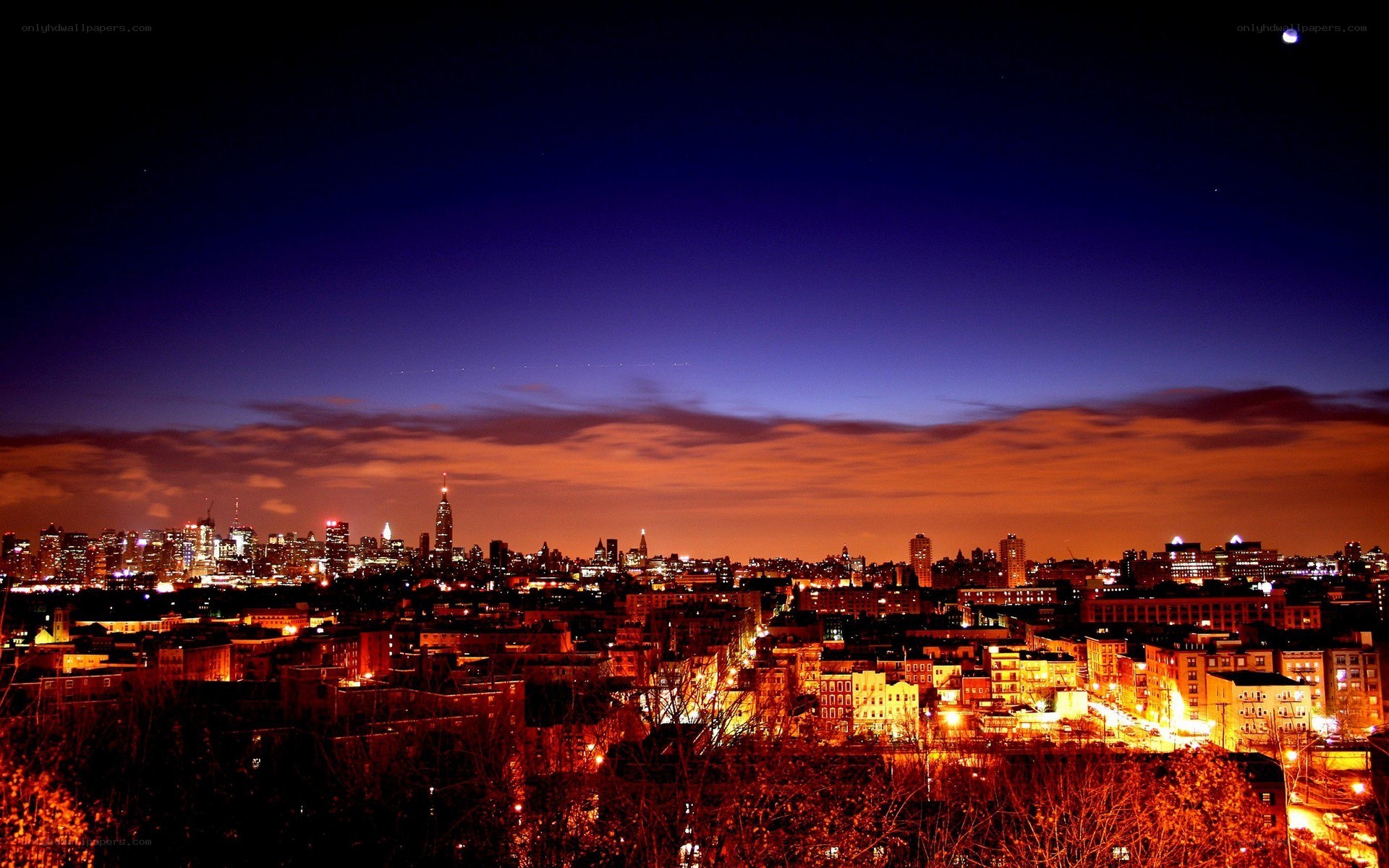 nighttime city skyline view