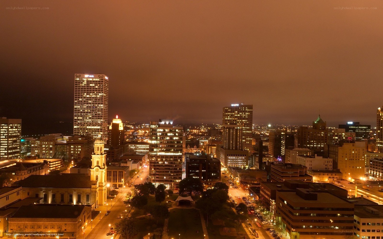 Nighttime city skyline view