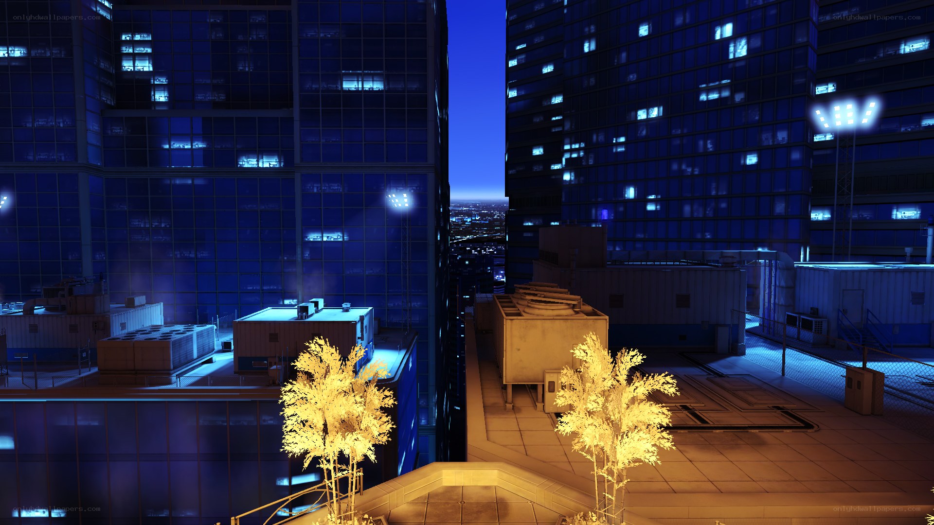 nighttime city skyline view