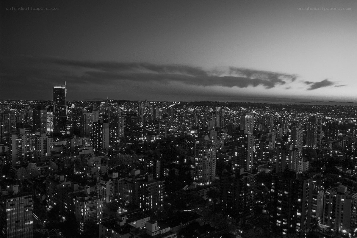 nighttime city skyline view